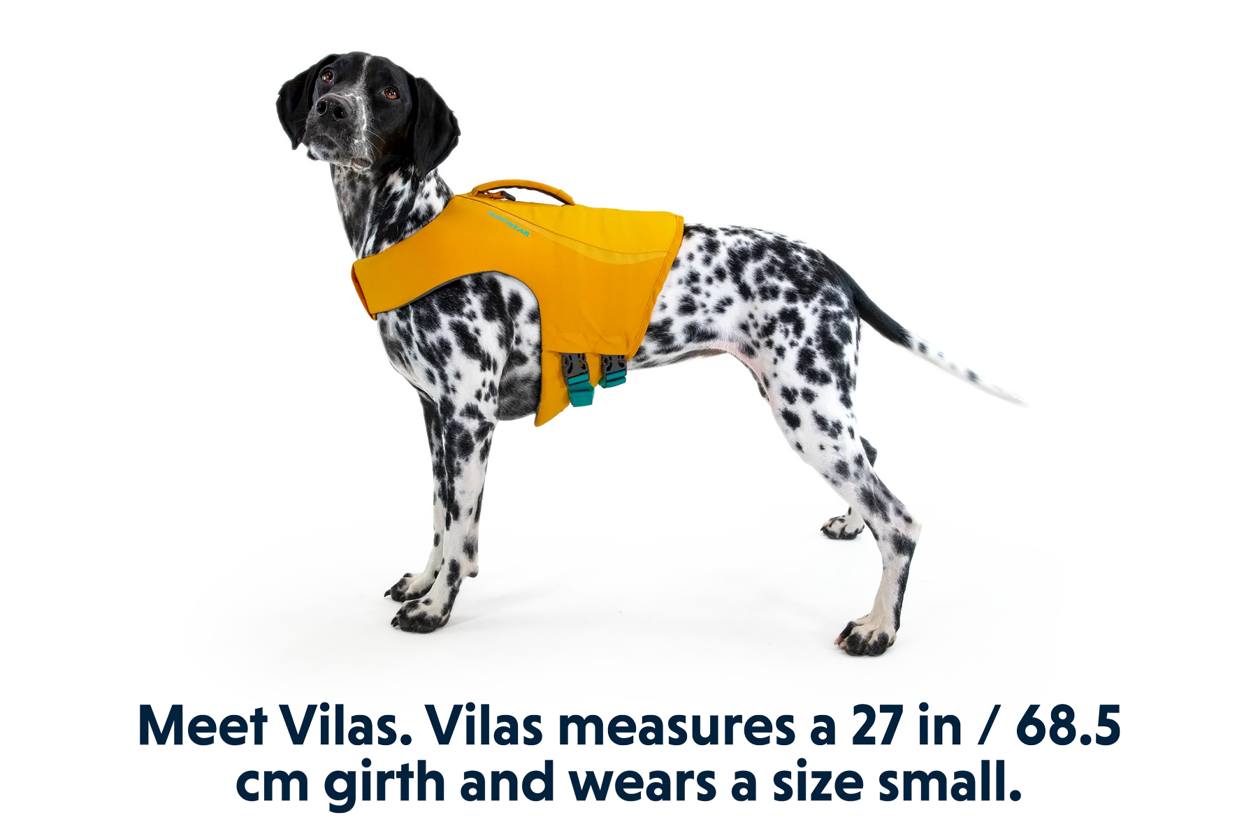 Float Coat™ Dog Life Jacket