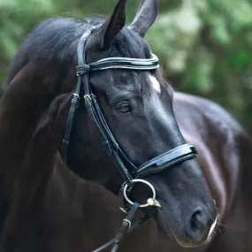 Halter Ego® 'Wellington' Black Patent Leather Snaffle Bridle Without Flash