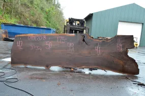 Oregon Black Walnut Slab 010220-08