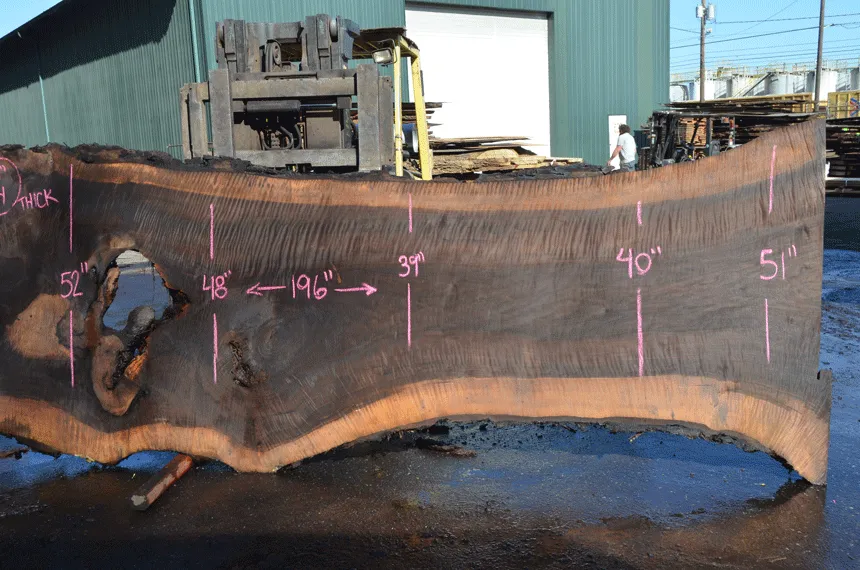 Oregon Black Walnut Slab 030321-02