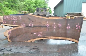 Oregon Black Walnut Slab 070220-03