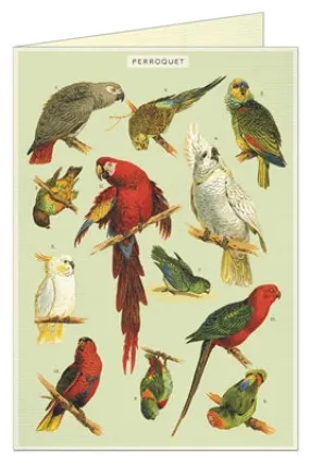  Parrots  Card