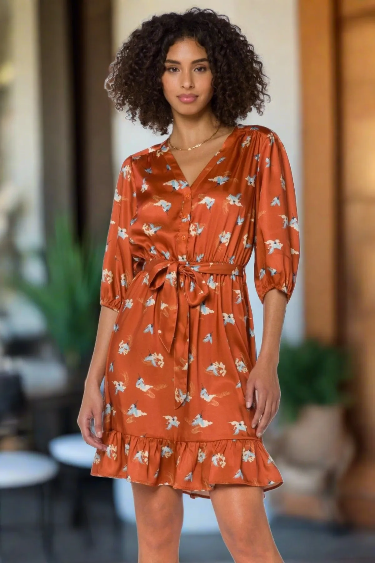 Rust Cranes Dress