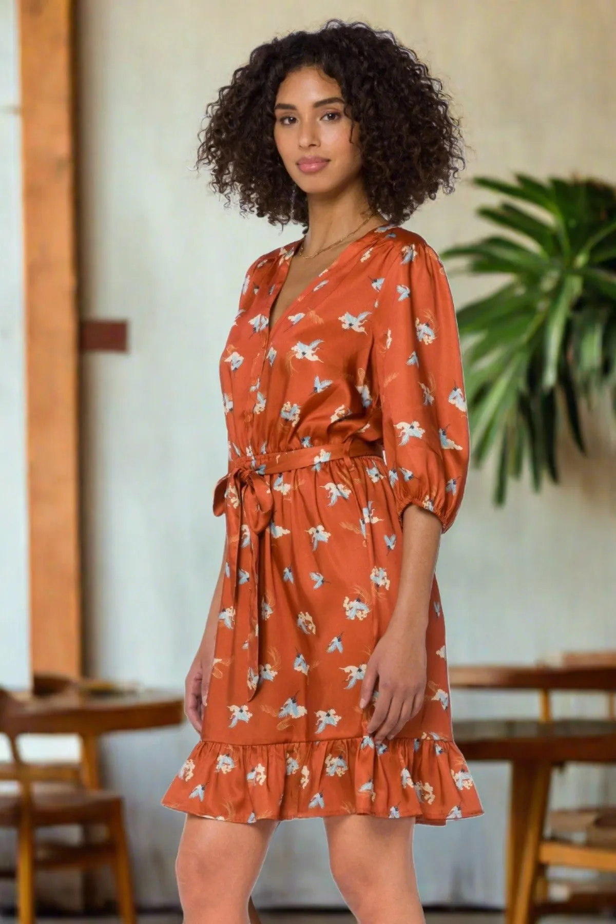 Rust Cranes Dress