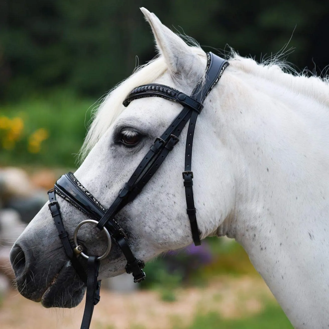 Venice Black Patent Snaffle with Metallic Silver Floral Padding