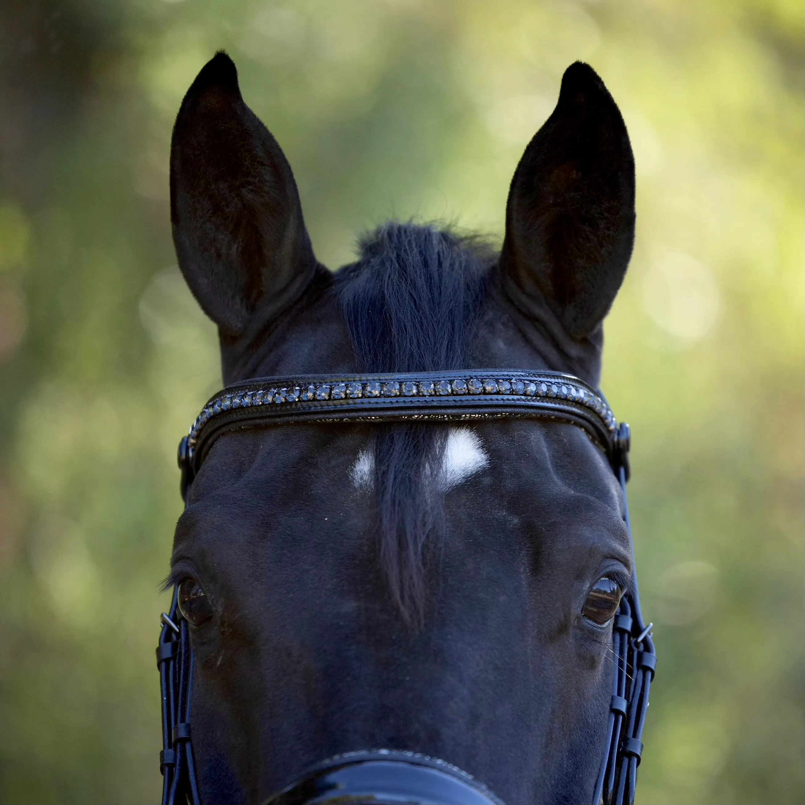 Venice Black Patent Snaffle with Metallic Silver Floral Padding